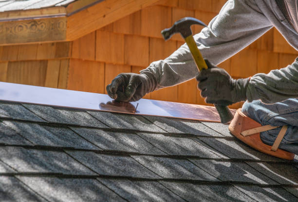 Best Steel Roofing  in Twin Falls, ID